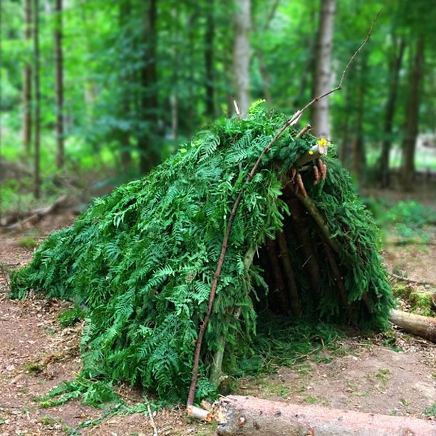 We have put together a few cheat-sheets on common tarp setups along with some basic natural survival shelters. There's also a government issued guide on creating family fallout shelters.