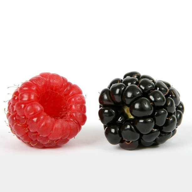 Raspberry vs Blackberry