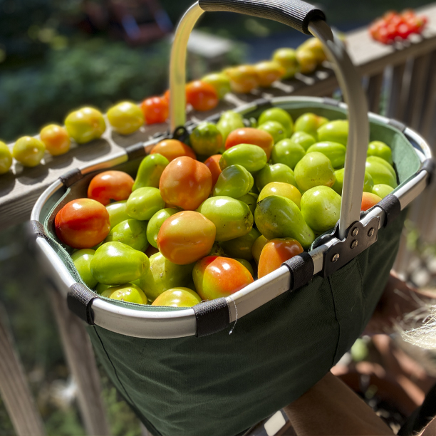 green tomatoes; salsa; recipe