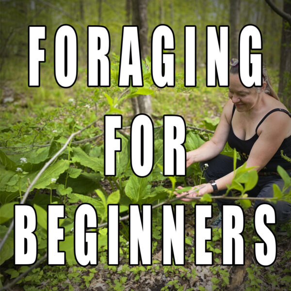 Class: Foraging For Beginners - (NEXT DATE PENDING)