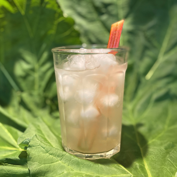 rhubarb; lemonade; recipe
