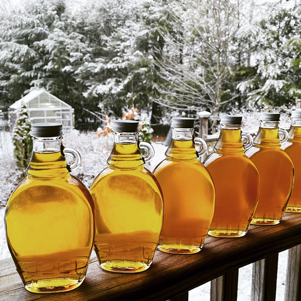 maple syrup, syrup, tapping maple trees, jars of syrup