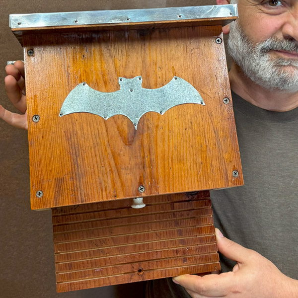 DIY, How to make, bat house, bat box