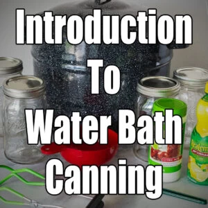 canning, water bath canning, preserving, food preservation