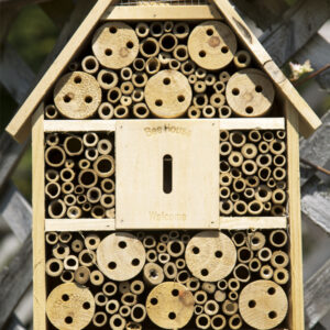 pollinators, bee house