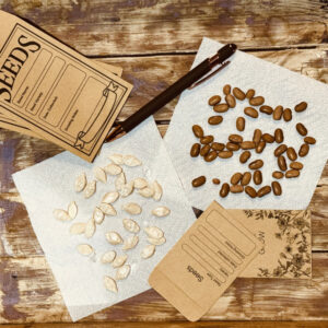 Seed storage, seed saving, seed starting, seed drying