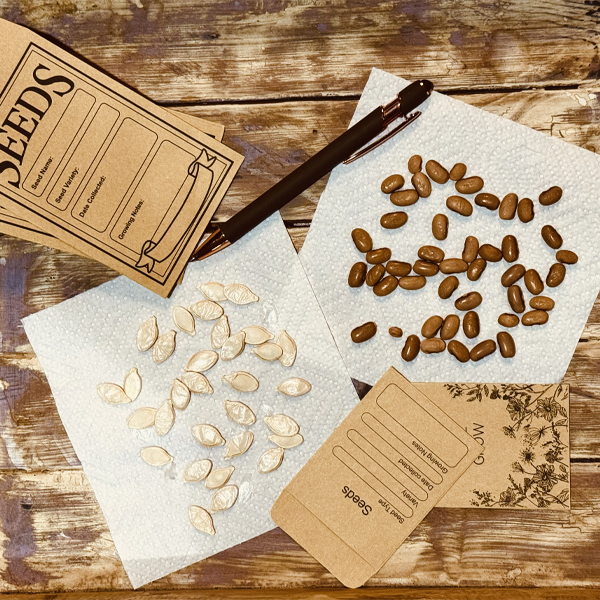 Seed storage, seed saving, seed starting, seed drying