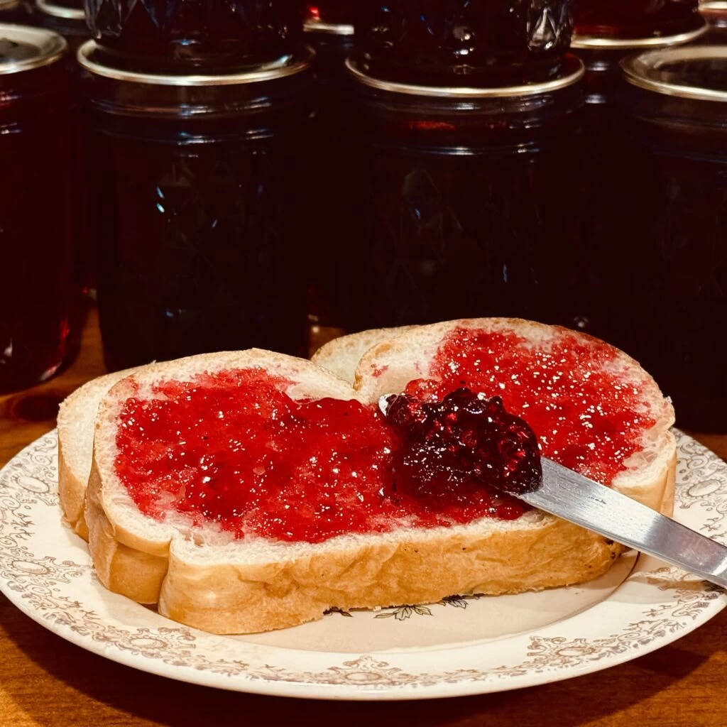 elderberry jelly, jelly recipe, elderberry