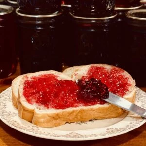 elderberry jelly, jelly recipe, elderberry