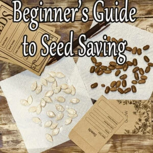 class, seed saving, garden seeds, how to save seeds, how to seed save, choosing the right seeds