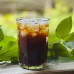 Birch, soda, birchbeer, birch beer, birch beer soda, homemade
