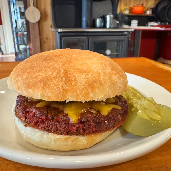 vegetarian burger, meatless burger, egg and oats burger